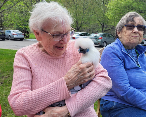 Rivercourt Residences - Assisted Living in West Groton, MA photo 3