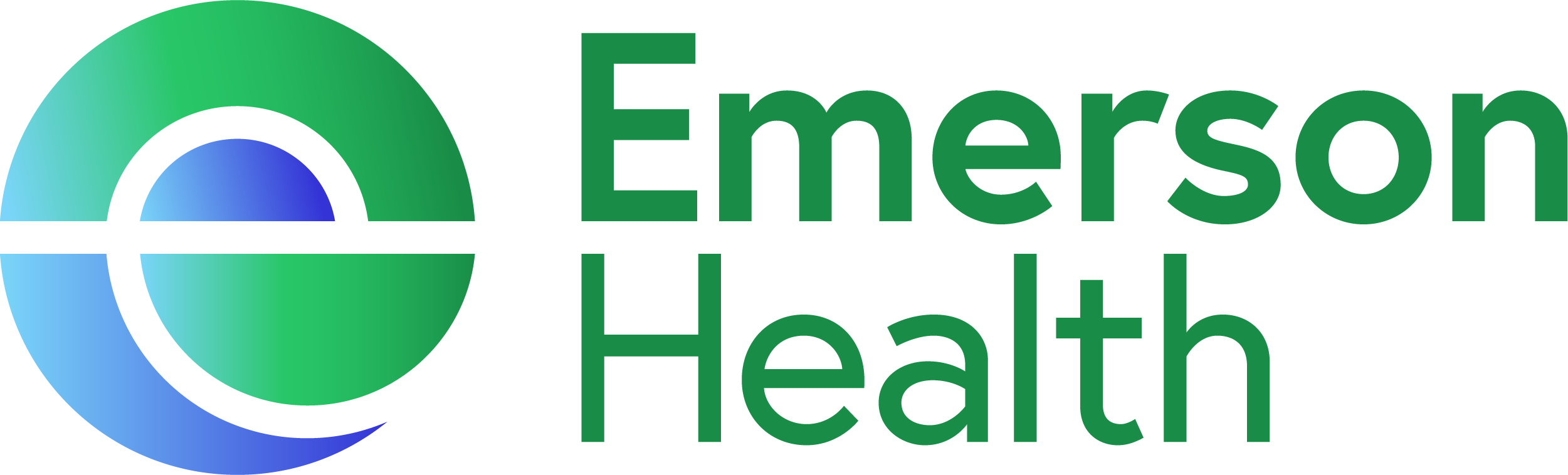 emerson hospital logo